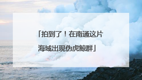 拍到了！在南通这片海域出现伪虎鲸群