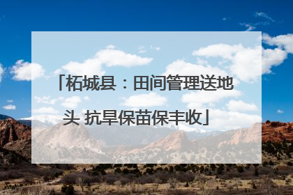 柘城县：田间管理送地头 抗旱保苗保丰收