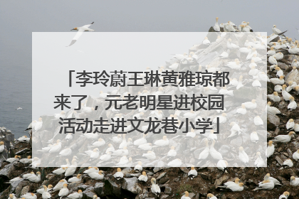 李玲蔚王琳黄雅琼都来了，元老明星进校园活动走进文龙巷小学