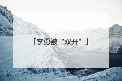 李勇被“双开”