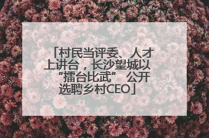 村民当评委、人才上讲台，长沙望城以“擂台比武” 公开选聘乡村CEO