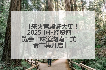 来火宫殿赶大集！2025中非经贸博览会“味道湖南”美食市集开启