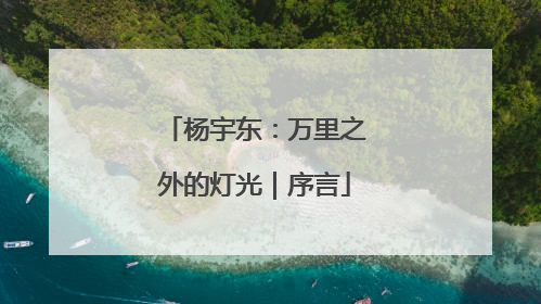 杨宇东：万里之外的灯光｜序言