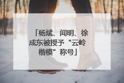 杨斌、闻明、徐成东被授予“云岭楷模”称号
