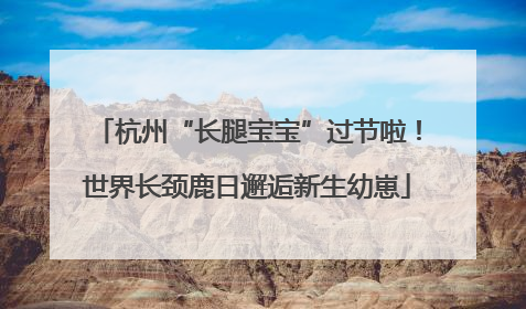 杭州“长腿宝宝”过节啦！世界长颈鹿日邂逅新生幼崽