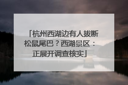 杭州西湖边有人拔断松鼠尾巴？西湖景区：正展开调查核实