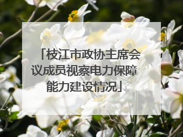 枝江市政协主席会议成员视察电力保障能力建设情况