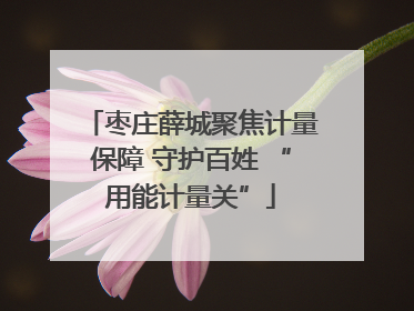 枣庄薛城聚焦计量保障 守护百姓 “用能计量关”