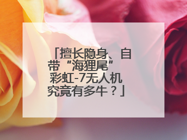 擅长隐身、自带“海狸尾” 彩虹-7无人机究竟有多牛？