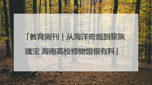 教育周刊｜从海洋奇观到黎族瑰宝 海南高校博物馆很有料