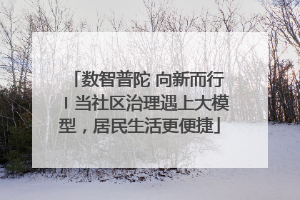 数智普陀 向新而行〡当社区治理遇上大模型，居民生活更便捷