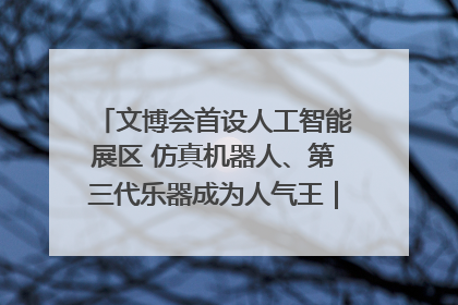 文博会首设人工智能展区 仿真机器人、第三代乐器成为人气王｜文博向“新”