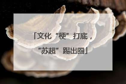 文化“梗”打底，“苏超”踢出圈