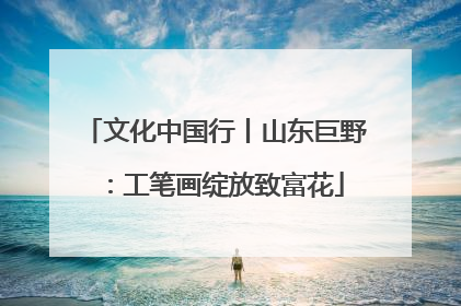 文化中国行丨山东巨野：工笔画绽放致富花