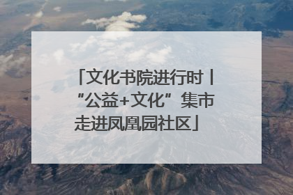 文化书院进行时丨“公益+文化”集市走进凤凰园社区