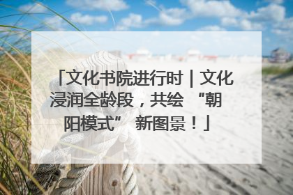 文化书院进行时｜文化浸润全龄段，共绘 “朝阳模式” 新图景！