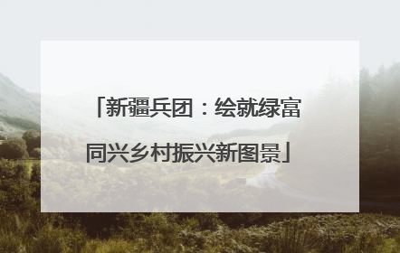 新疆兵团：绘就绿富同兴乡村振兴新图景