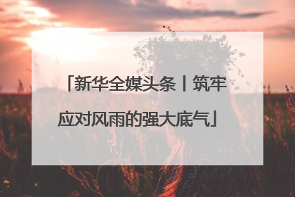 新华全媒头条丨筑牢应对风雨的强大底气