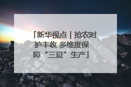 新华视点｜抢农时 护丰收 多维度保障“三夏”生产