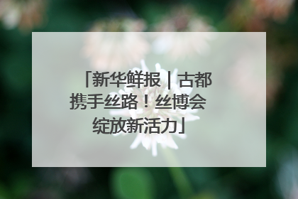 新华鲜报｜古都携手丝路！丝博会绽放新活力