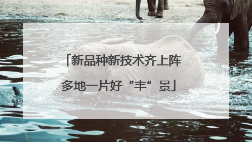 新品种新技术齐上阵 多地一片好“丰”景