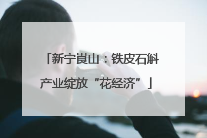 新宁崀山：铁皮石斛产业绽放“花经济”