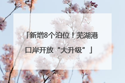 新增8个泊位！芜湖港口岸开放“大升级”