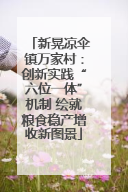 新晃凉伞镇万家村：创新实践“六位一体”机制 绘就粮食稳产增收新图景