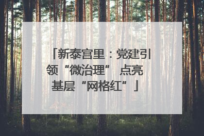 新泰宫里：党建引领“微治理” 点亮基层“网格红”