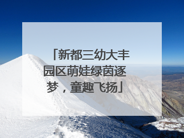 新都三幼大丰园区萌娃绿茵逐梦，童趣飞扬