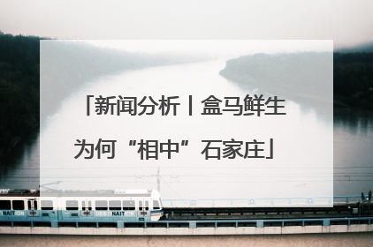 新闻分析丨盒马鲜生为何“相中”石家庄