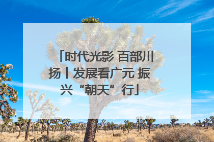 时代光影 百部川扬丨发展看广元 振兴“朝天”行