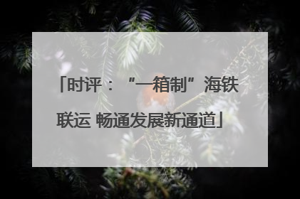 时评：“一箱制”海铁联运 畅通发展新通道
