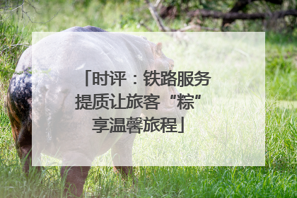 时评：铁路服务提质让旅客“粽”享温馨旅程