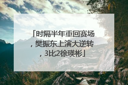 时隔半年重回赛场，樊振东上演大逆转，3比2徐瑛彬
