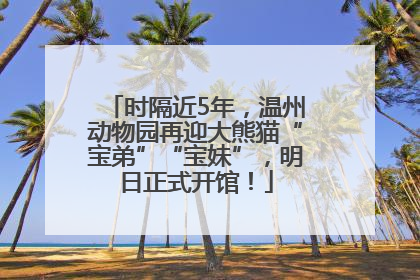 时隔近5年，温州动物园再迎大熊猫“宝弟”“宝妹”，明日正式开馆！