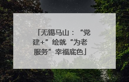 无锡马山：“党建+”绘就“为老服务”幸福底色