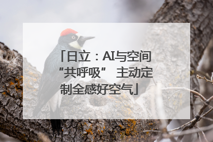 日立：AI与空间“共呼吸” 主动定制全感好空气
