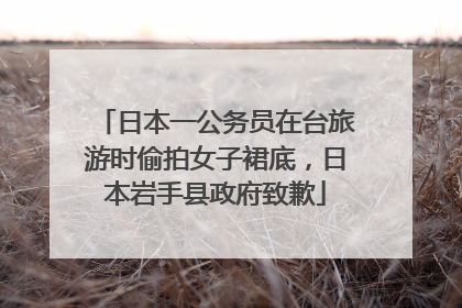 日本一公务员在台旅游时偷拍女子裙底，日本岩手县政府致歉