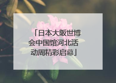 日本大阪世博会中国馆河北活动周精彩启幕