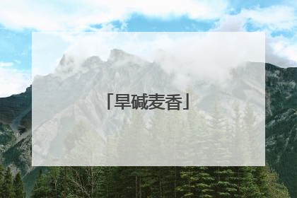 旱碱麦香