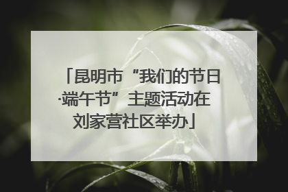 昆明市“我们的节日·端午节”主题活动在刘家营社区举办