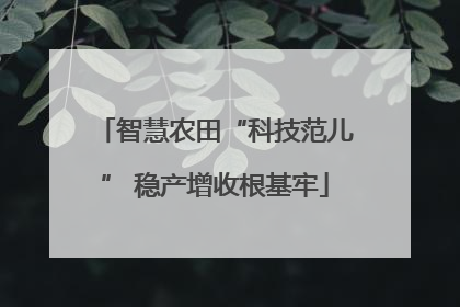 智慧农田“科技范儿” 稳产增收根基牢