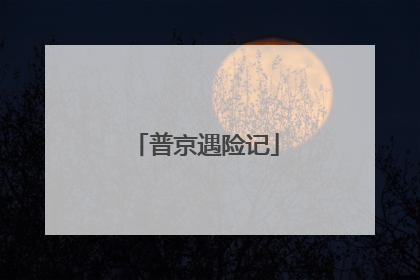 普京遇险记