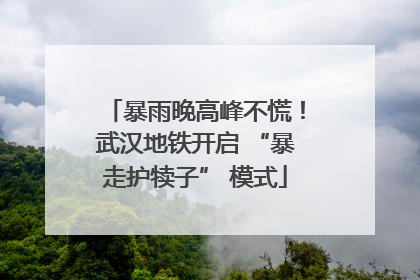 暴雨晚高峰不慌！武汉地铁开启 “暴走护犊子” 模式