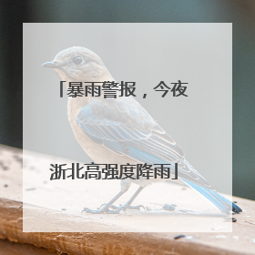 暴雨警报，今夜浙北高强度降雨