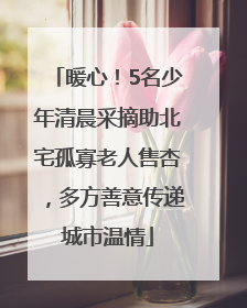 暖心！5名少年清晨采摘助北宅孤寡老人售杏，多方善意传递城市温情