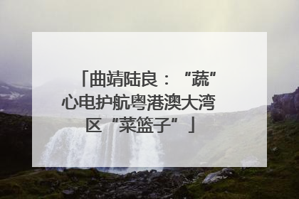 曲靖陆良：“蔬”心电护航粤港澳大湾区“菜篮子”