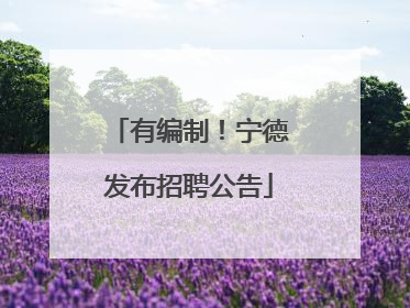 有编制！宁德发布招聘公告