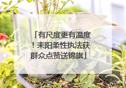 有尺度更有温度！耒阳柔性执法获群众点赞送锦旗
